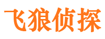 阳高市调查公司